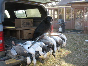 SoDak-birding