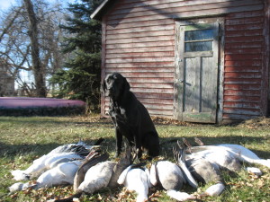 birding-in-s-dakota